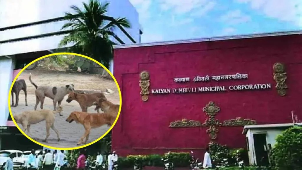 कडोंपाच्या पहिल्याच महासभेत गाजणार भटक्या कुत्र्यांचा विषय