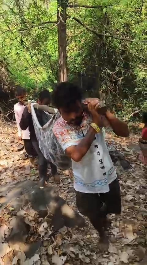 आजारी महिला डोलीतून रुग्णालयात
