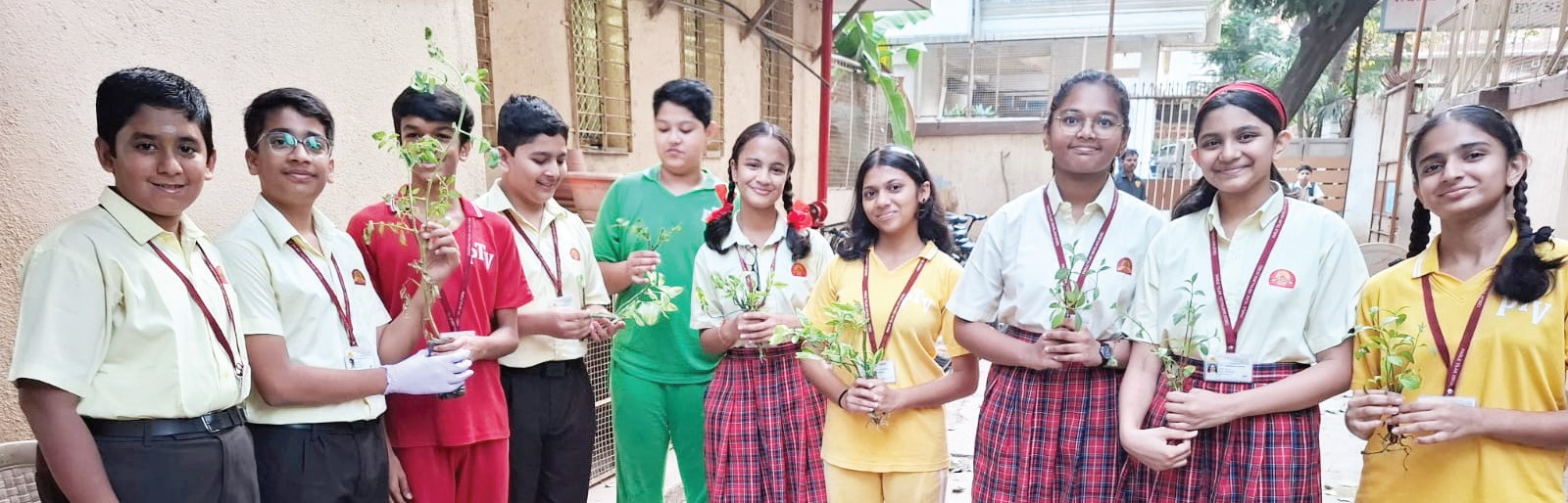 Green Guardians In Action